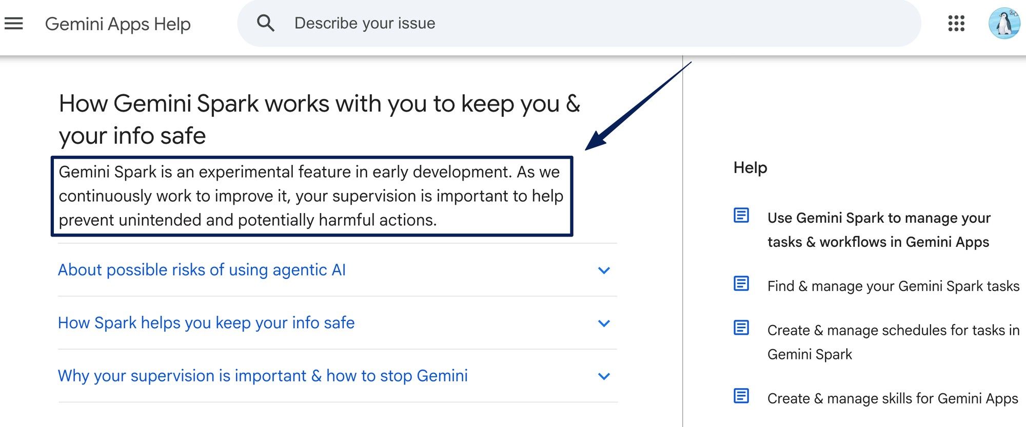 Gemini Apps Help states Spark is experimental and needs user supervision