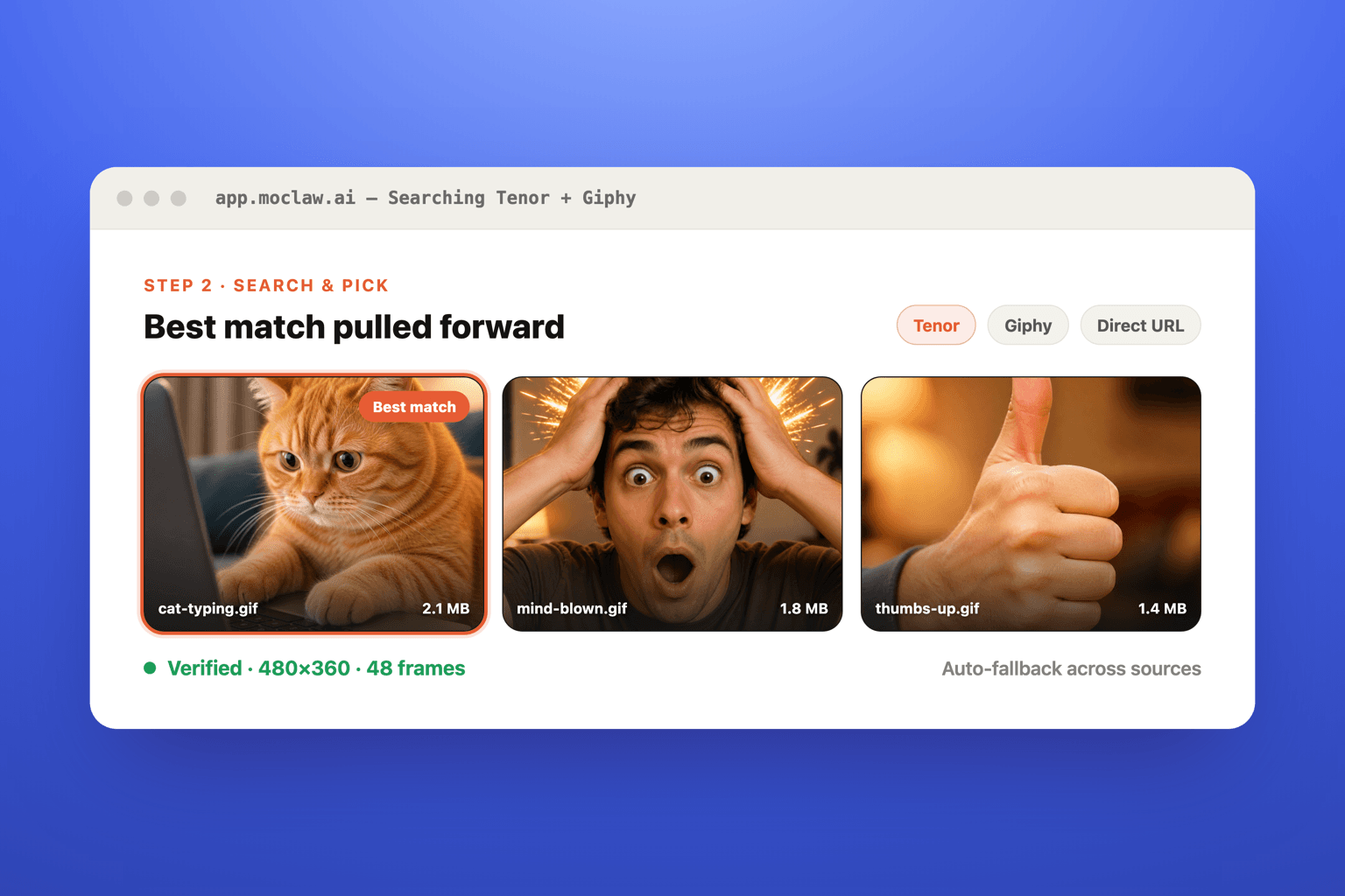 GIF search results with the best cat-typing match highlighted from Tenor