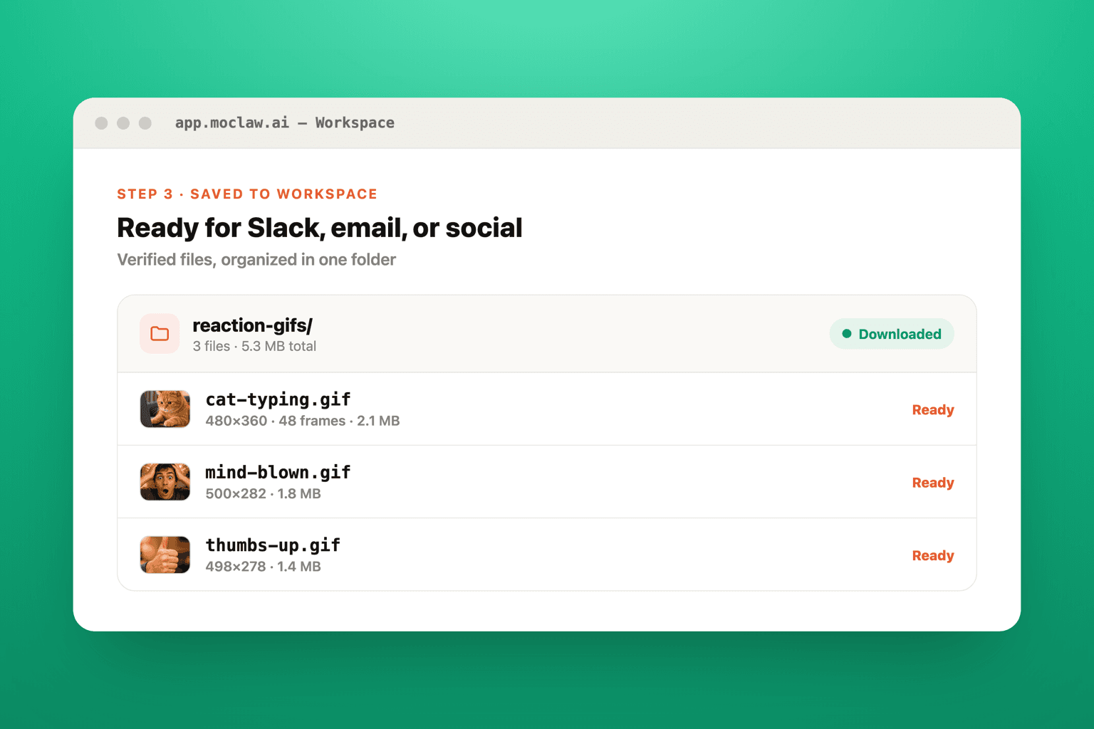 Workspace folder reaction-gifs with three downloaded GIF files ready to use