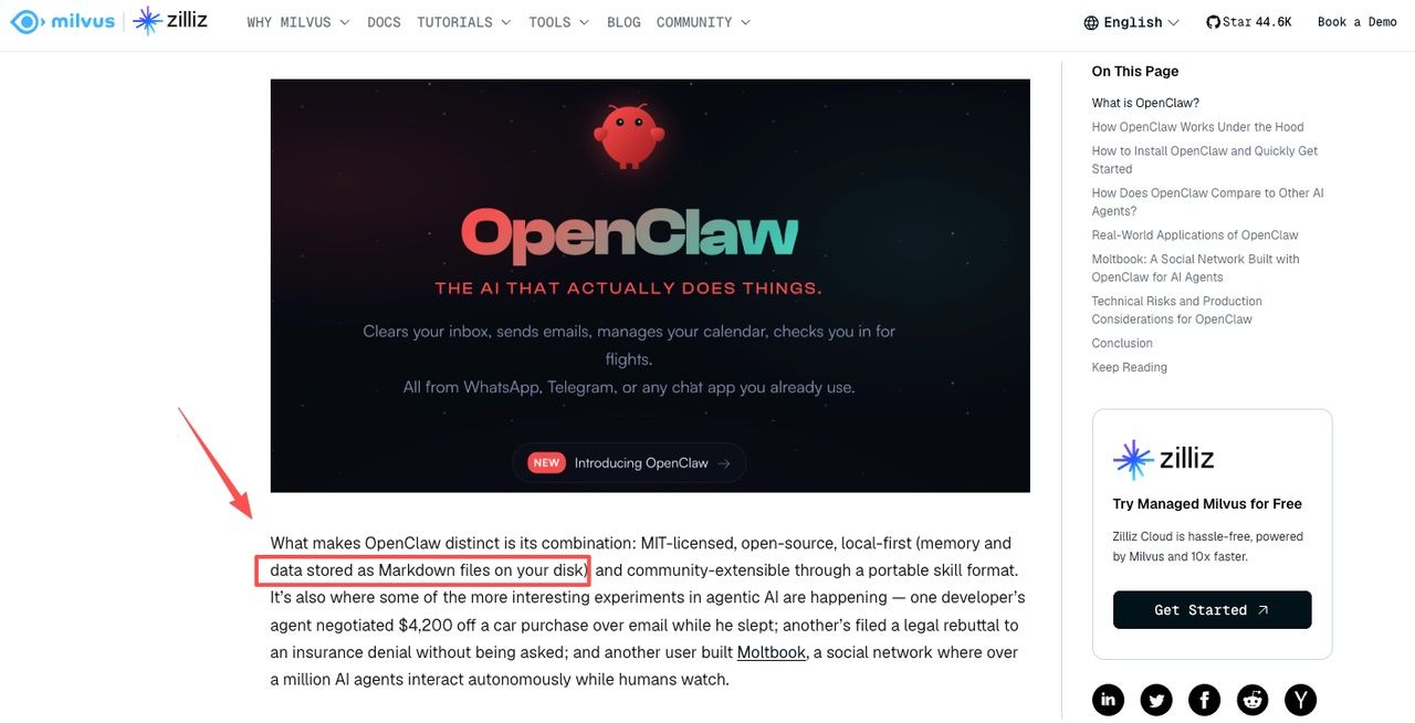 OpenClaw storing agent memory as local Markdown files on disk